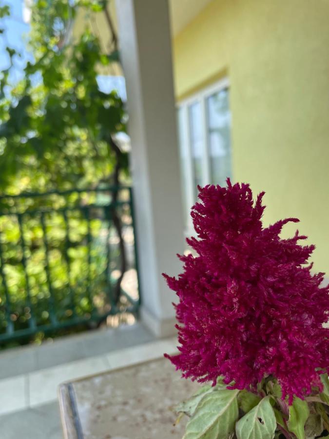 Apartments Mornar Poljica  エクステリア 写真